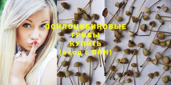 mdpv Алексин