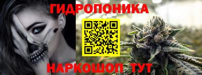 шишки Чебаркуль