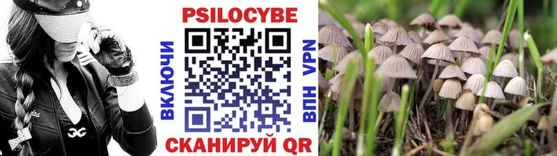 Псилоцибиновые грибы прущие грибы  Морозовск 