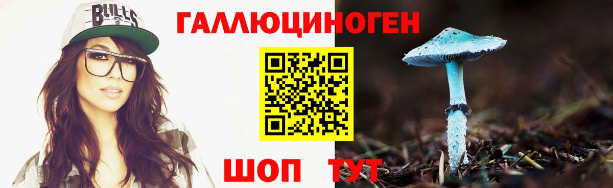 Морозовск  Галлюциногенные грибы мухоморы  Вход с VPN  Галлюциногенные грибы Psilocybe 